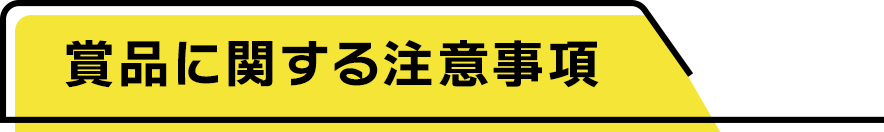 賞品に関する注意事項